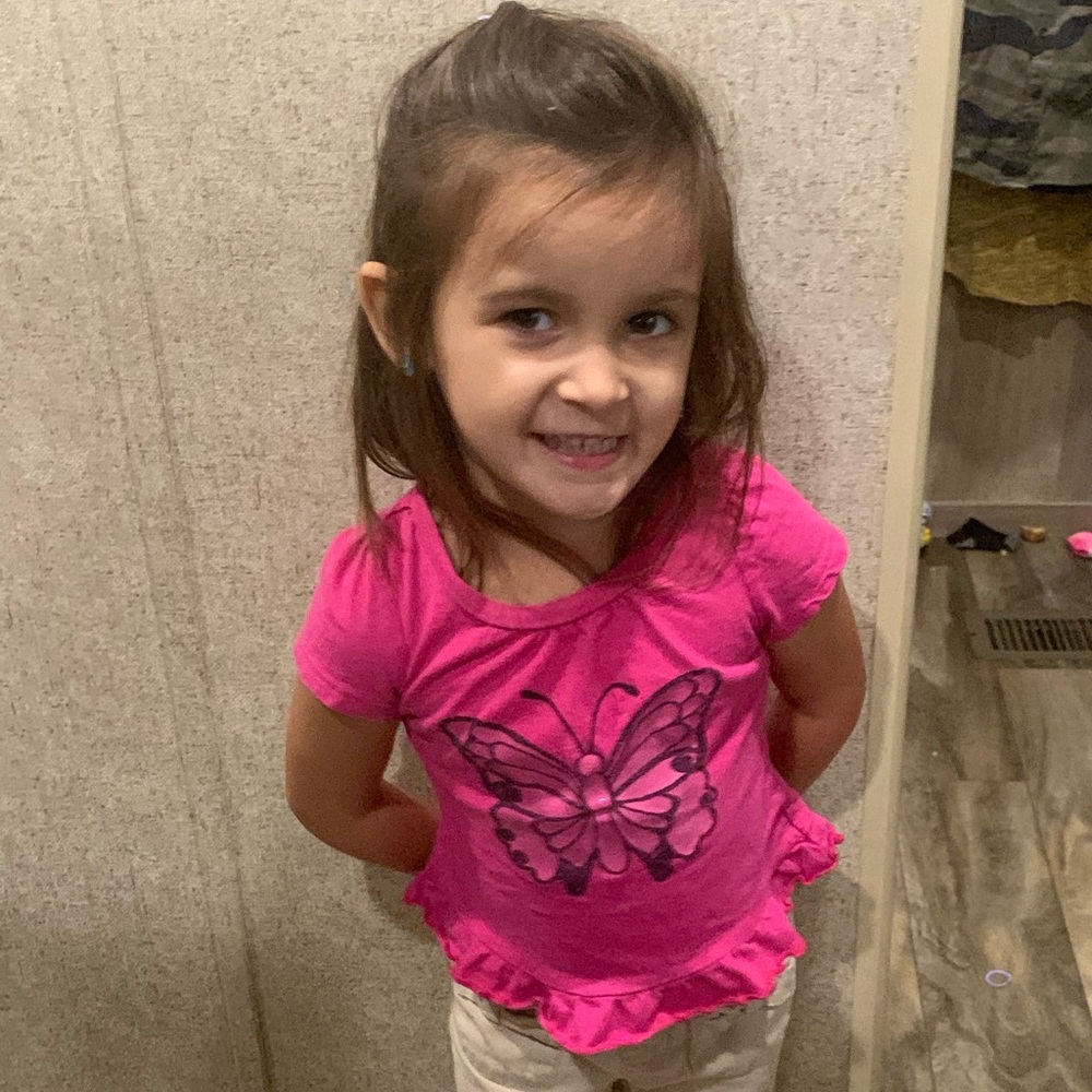 Butterfly shirt pink 2t
